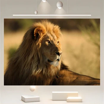 Лев Африканской Саванны, Фотография природы, Животные, Фон с натуральным Жирафом, Украшения для фотосъемки, Реклама на стене, путешествия.
