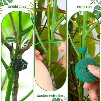 Съемный набор кольев для поддержки растений из веточек, Высота 39,37 дюйма, подходит для растений, ветки для растений, шпалера для растений Изображение 2